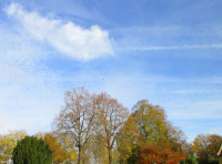 /album/fotogalerie/bildstoff-432-jpg/